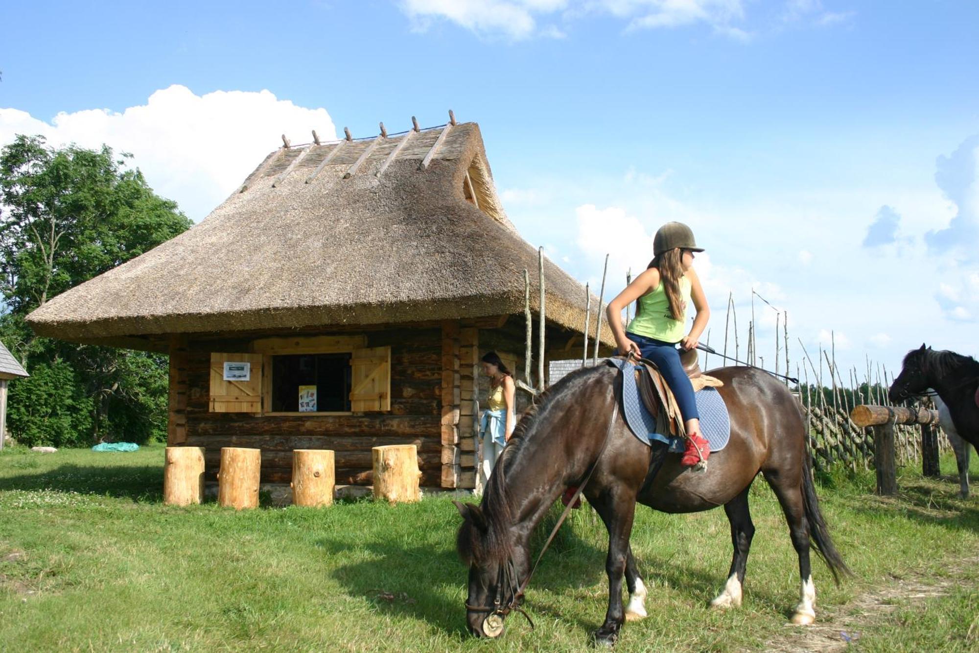 Anni Tourism Farm Villa Tammese Exterior photo