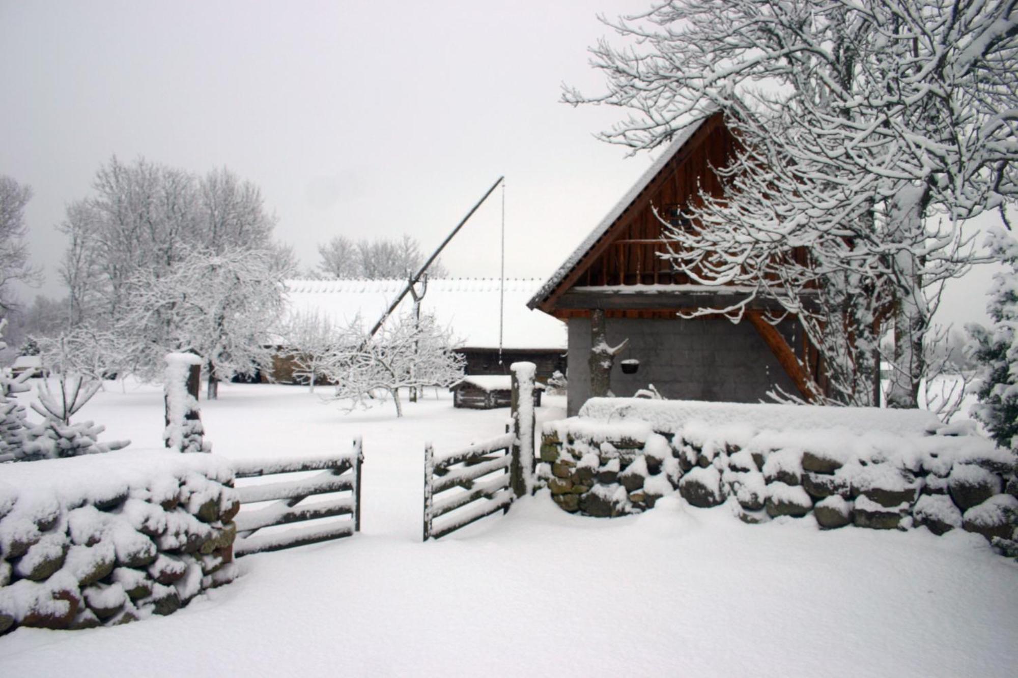 Anni Tourism Farm Villa Tammese Exterior photo