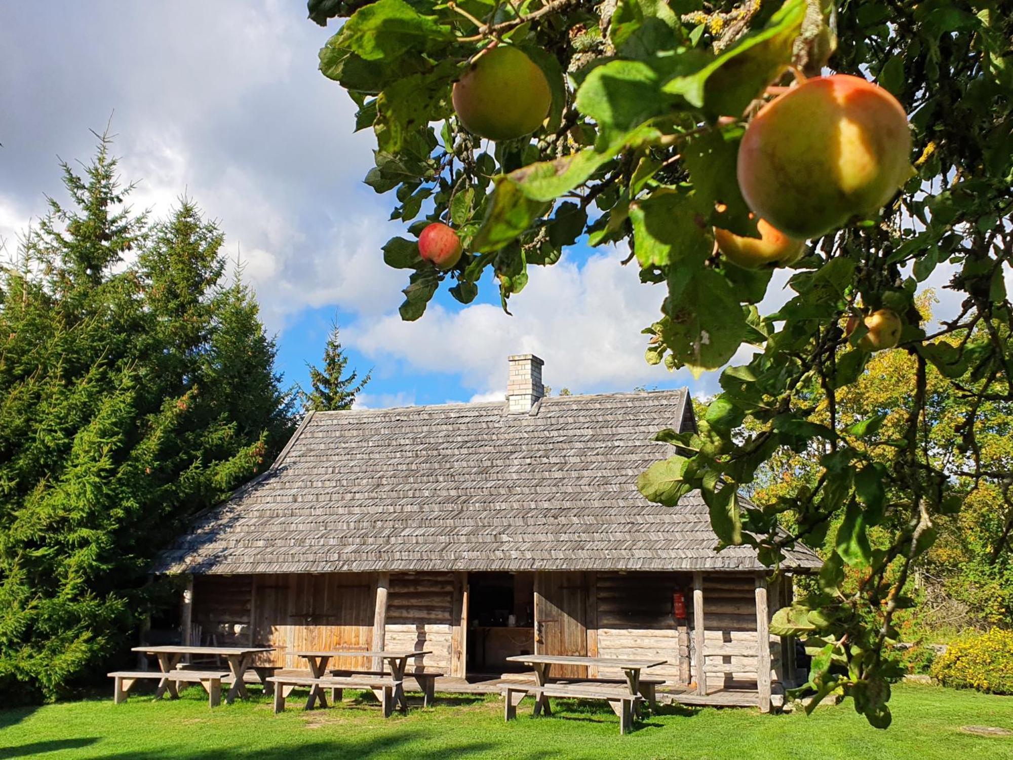 Anni Tourism Farm Villa Tammese Exterior photo
